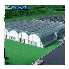 Multi -Span Green House para Strawberry